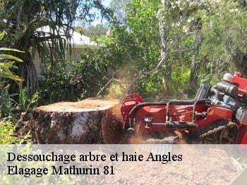 Dessouchage arbre et haie  angles-81260 Elagage Mathurin 81