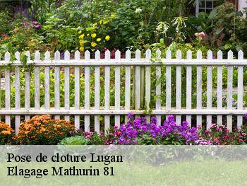 Pose de cloture  lugan-81500 Elagage Mathurin 81