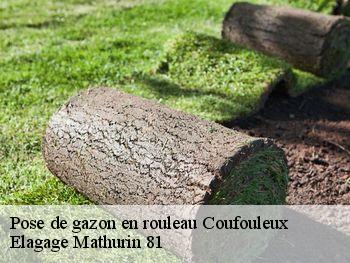 Pose de gazon en rouleau  coufouleux-81800 Elagage Mathurin 81