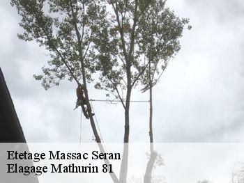 Etetage  massac-seran-81500 Elagage Mathurin 81