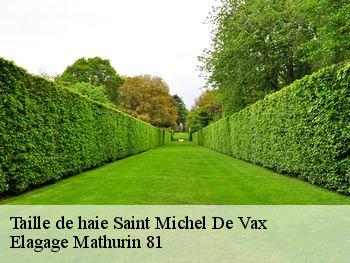 Taille de haie  saint-michel-de-vax-81140 Elagage Mathurin 81