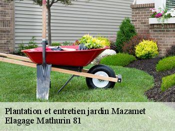 Plantation et entretien jardin  mazamet-81200 Elagage Mathurin 81